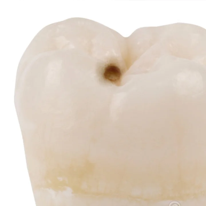 Banner services clinicalilianasilva.pt